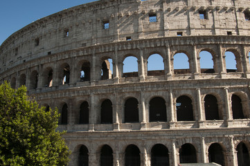 Colosseum in Rome on a beautiful sunny day, Italy