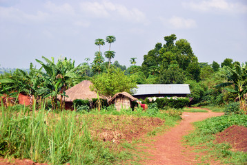 Fototapeta na wymiar Village in Uganda