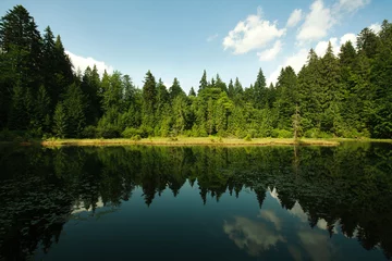 Foto op Plexiglas Mountain lake in spruce forest on a background of blue sky © okostia