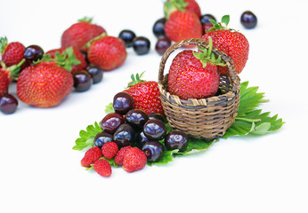 Strawberries, cherries and wild strawberries