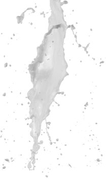 milk splash isolated on the white background