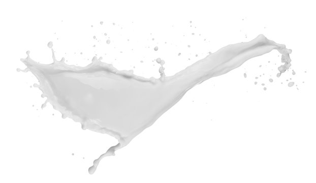 milk splash isolated on the white background
