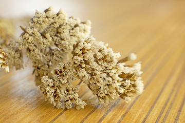 Dry flowers on wood table