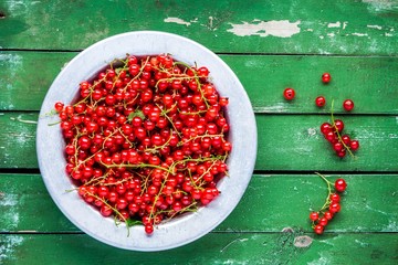 ripe fresh organic red currants in a bowl on a green background