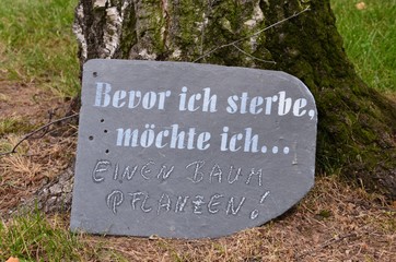 Bevor ich sterbe möchte ich einen Baum pflanzen.