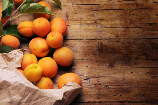 ᏓᎶᏂᎨ ᎠᏓᏛᏍᎩ Abrikos Abricot Albicocche &Beta;&epsilon;&rho;ί&kappa;&omicron;&kappa;&omicron; Apricot जर्दाळू Morela Abrikoto சர்க்கரை பாதாமி خوبانۍ 
