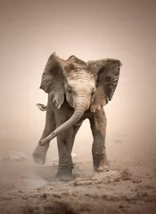 Abwaschbare Fototapete Elefant Elefantenkalb nachgestelltes Aufladen