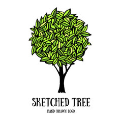 Obraz premium Hand-drawn tree logo template