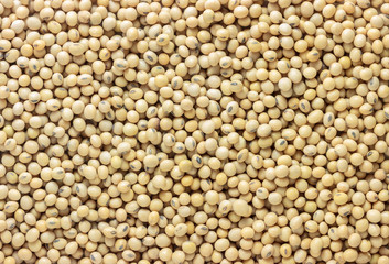 Close up dry soy bean as background.