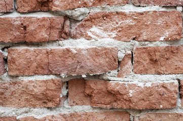 Brick wall texture