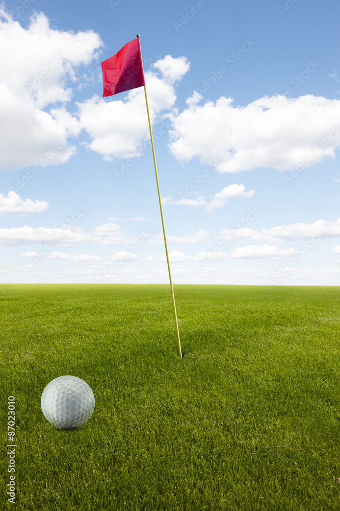 Canvas Prints Golfball auf Green