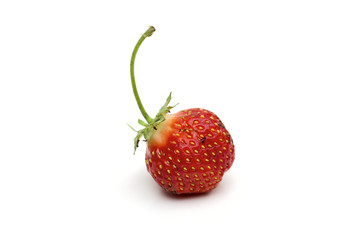 strawberries on the white background