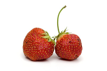strawberries on the white background