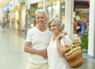 Portrait of beautiful elderly couple 