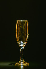 wine glass dark background
