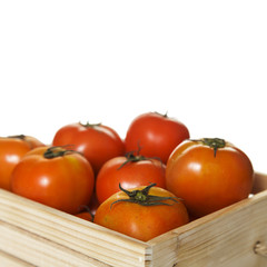 Tomato
