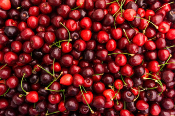 Red Cherries.   Cherry selection.  Background of ripe cherries