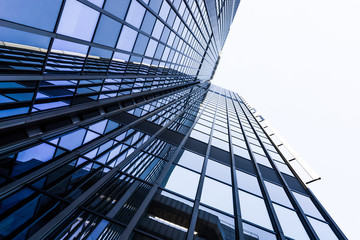 Fototapeta na wymiar Modern glass silhouettes of skyscrapers. office buildings