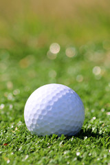 Golf ball on green grass