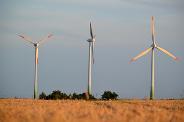 Turbiny wiatrowe © Senatorek