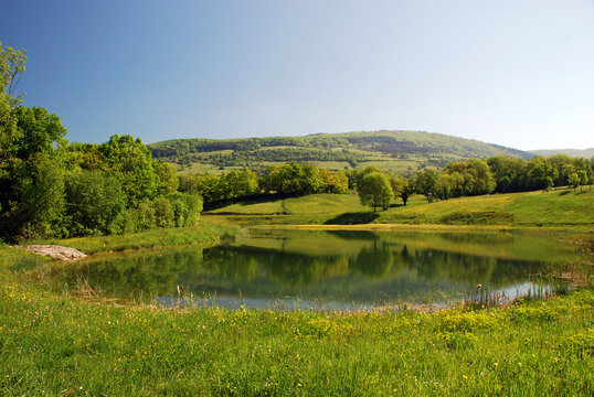 Limousin region landscape
