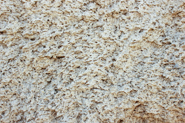 Shell rock texture