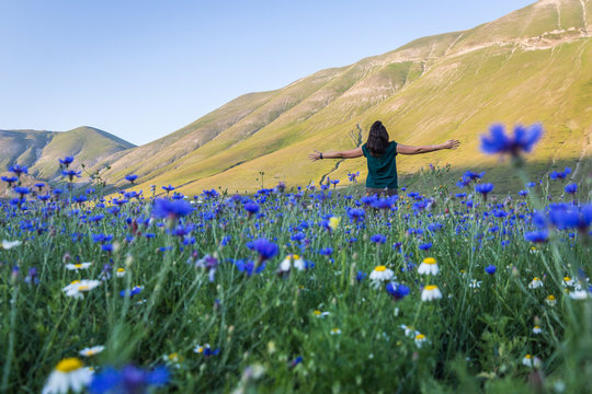 Fioritura Castelluccio di Norcia, Italia