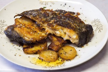 Grilled catfish
