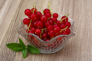 Red currant
