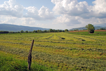 Fototapeta na wymiar Fields landscape