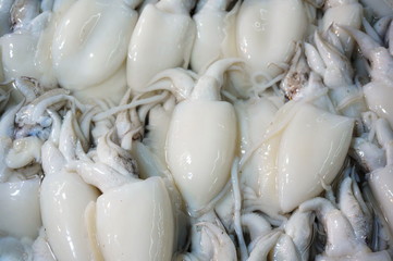 Мелкие свежие кальмары © banosan