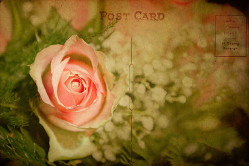dekorative Postkarte im Vintagestil mit rosa Rose