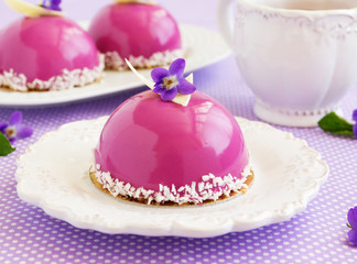 Bush blueberry cake with cream and creamy mousse.