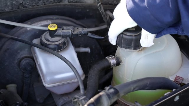 Checking antifreeze in car at the repair station
