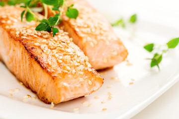 Grilled salmon on white plate macro