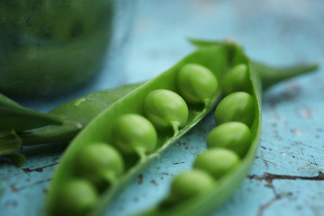 Close-up of fresh green pea on blue wooden background