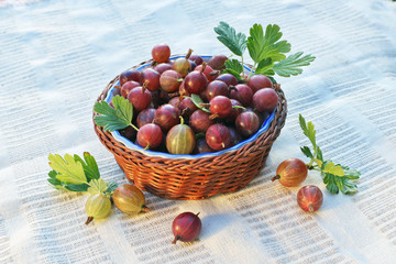 Basket with gooseberries on  line napkin