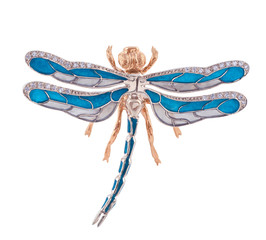 Beautiful golden dragonfly isolated on white