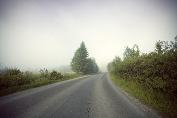 Foggy road, soft focus