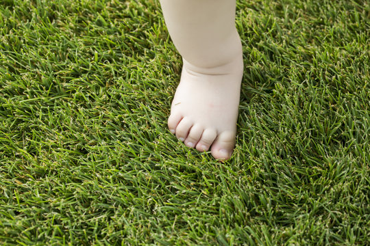 Tiny Little Bare Baby Foot On Grass