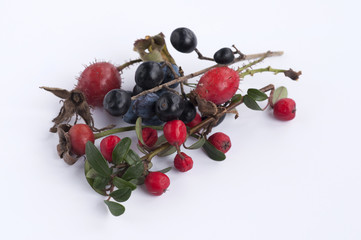 Wild berries