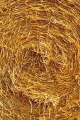 Strohballen auf Feld nach Ernte