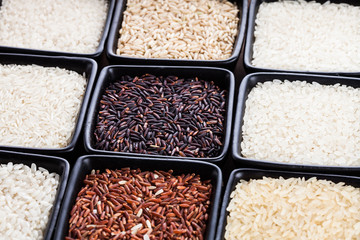 Various types of rice 