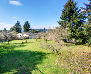 Large authentic back yard with grass and trees.