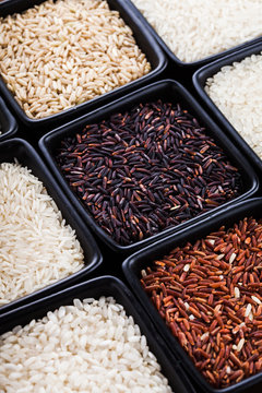 Various types of rice 