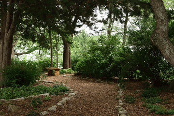 Path Leading Through Lush Growth