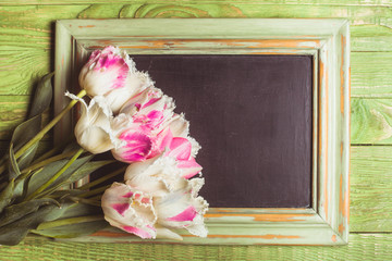 Tulips on chalkboard