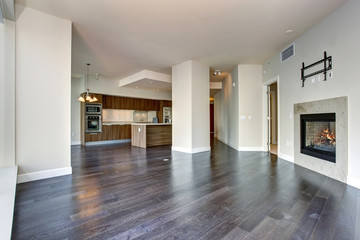 Large empty living room with fireplace.