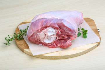 Raw turkey leg