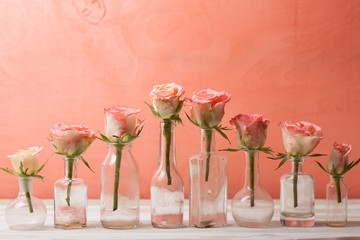 Roses in bottles